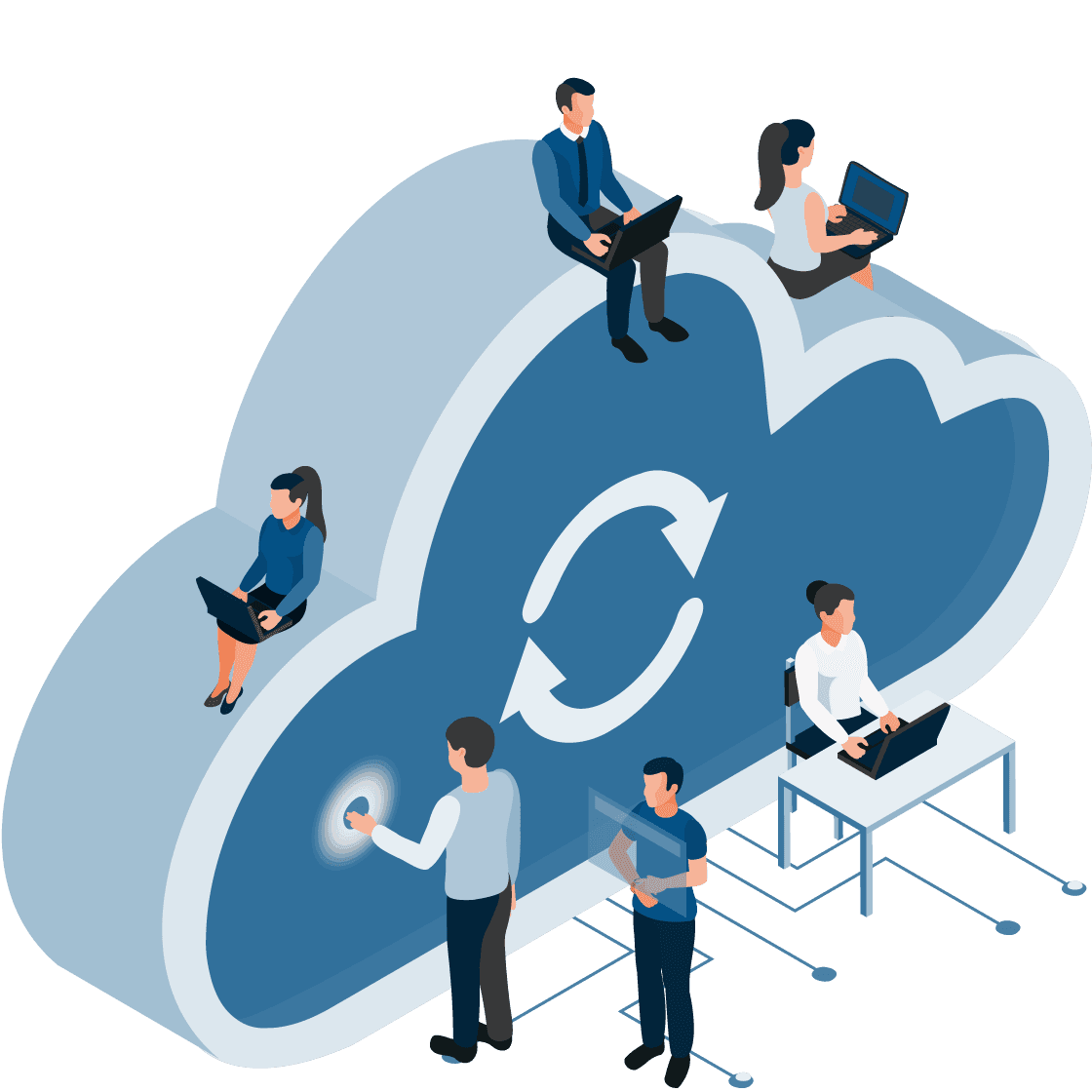 Midsize Fleet - Reduced IT Requirements